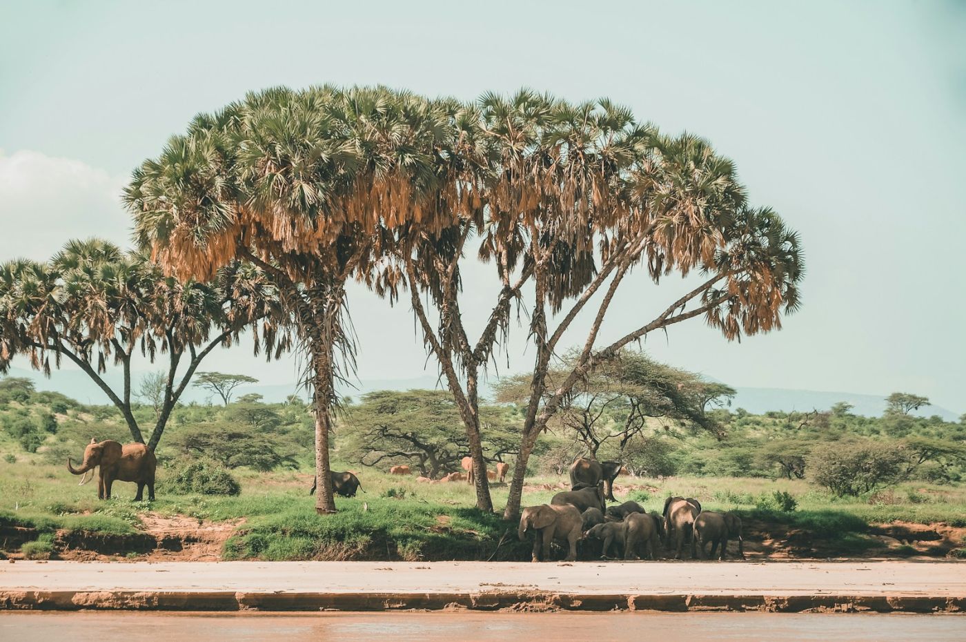 Samburu, Northern Kenya